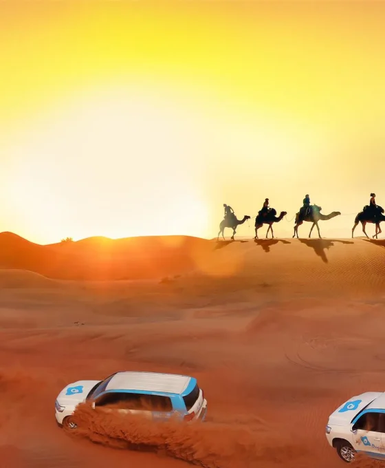 Dune-Bashing Dune-Bashing