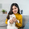 portrait-of-beautiful-woman-holding-little-cat-wit-2021-12-09-21-05-04-utc-e1659175182415.jpg portrait-of-beautiful-woman-holding-little-cat-wit-2021-12-09-21-05-04-utc-e1659175182415.jpg